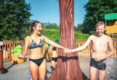 L'arbre arroseur - L'arbre à glands plein d'eau saura vous surprendre et vous faire rire